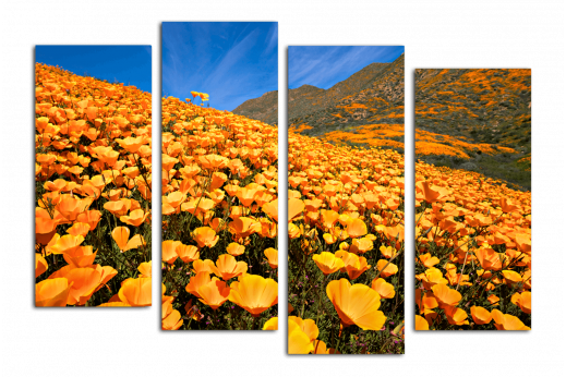 Модульная картина Жёлтые полевые цветы